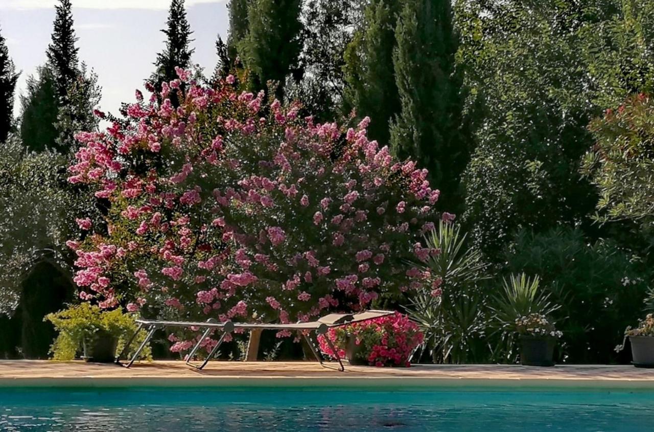 Villa Isabelle Barraca de Aguas Vivas Экстерьер фото